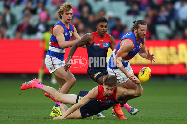 AFL 2025 Round 22 - Melbourne v Western Bulldogs - A-61269994