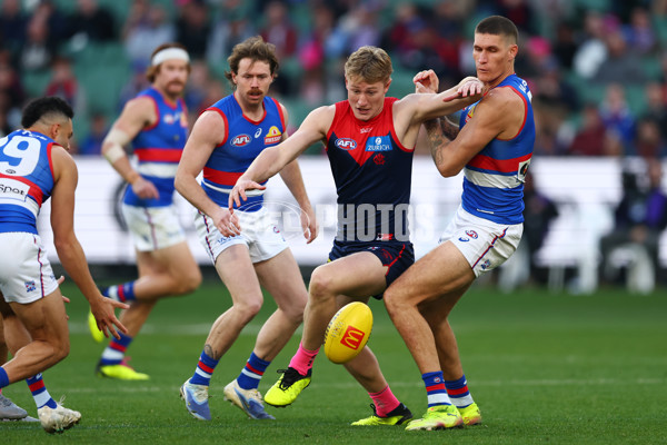 AFL 2025 Round 22 - Melbourne v Western Bulldogs - A-61270546