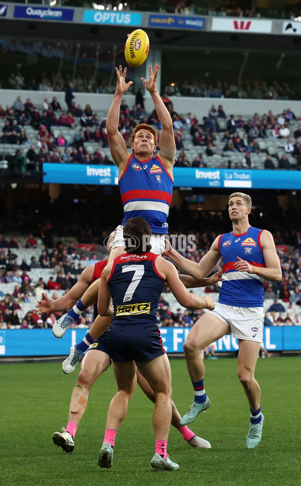 AFL 2025 Round 22 - Melbourne v Western Bulldogs - A-61270553