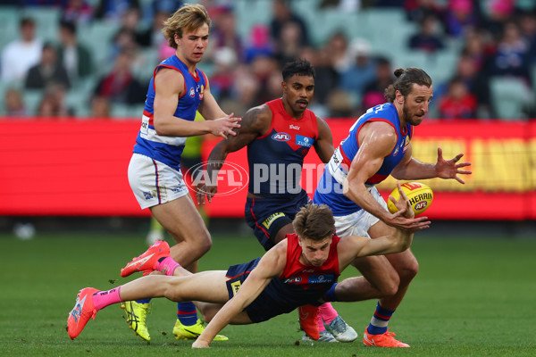 AFL 2025 Round 22 - Melbourne v Western Bulldogs - A-61270557
