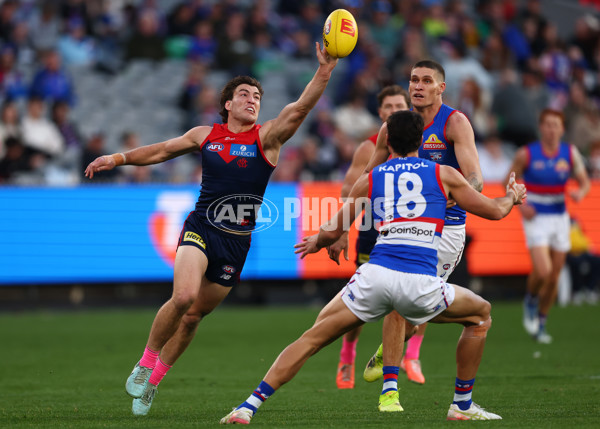 AFL 2025 Round 22 - Melbourne v Western Bulldogs - A-61270595
