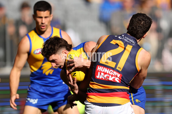 AFL 2025 Round 22 - West Coast v Adelaide - A-61270606