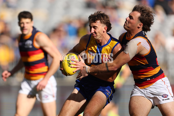 AFL 2025 Round 22 - West Coast v Adelaide - A-61272571