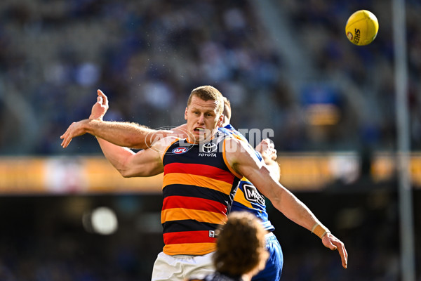 AFL 2025 Round 22 - West Coast v Adelaide - A-61272576