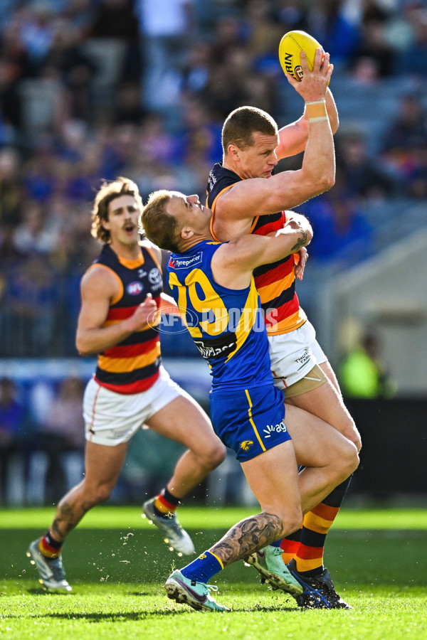 AFL 2025 Round 22 - West Coast v Adelaide - A-61272577