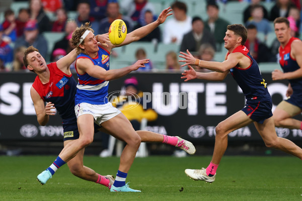 AFL 2025 Round 22 - Melbourne v Western Bulldogs - A-61272584