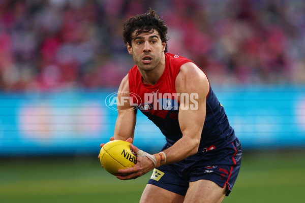 AFL 2025 Round 22 - Melbourne v Western Bulldogs - A-61272602