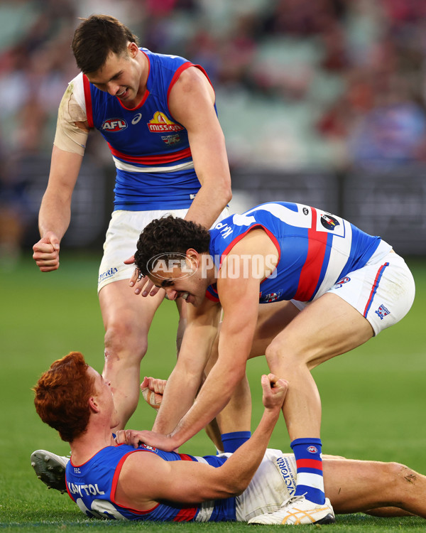 AFL 2025 Round 22 - Melbourne v Western Bulldogs - A-61272622