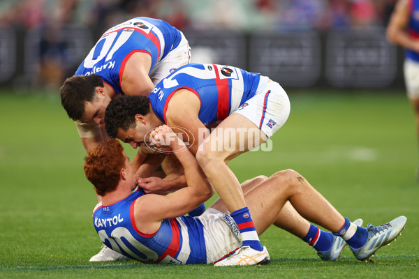 AFL 2025 Round 22 - Melbourne v Western Bulldogs - A-61272623
