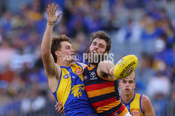 AFL 2025 Round 22 - West Coast v Adelaide - A-61272625
