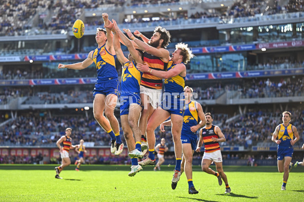 AFL 2025 Round 22 - West Coast v Adelaide - A-61272631