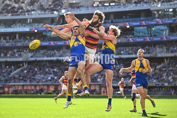 AFL 2025 Round 22 - West Coast v Adelaide - A-61272632