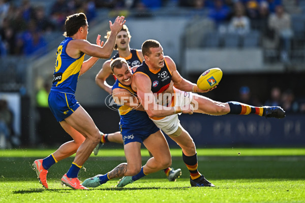 AFL 2025 Round 22 - West Coast v Adelaide - A-61273369