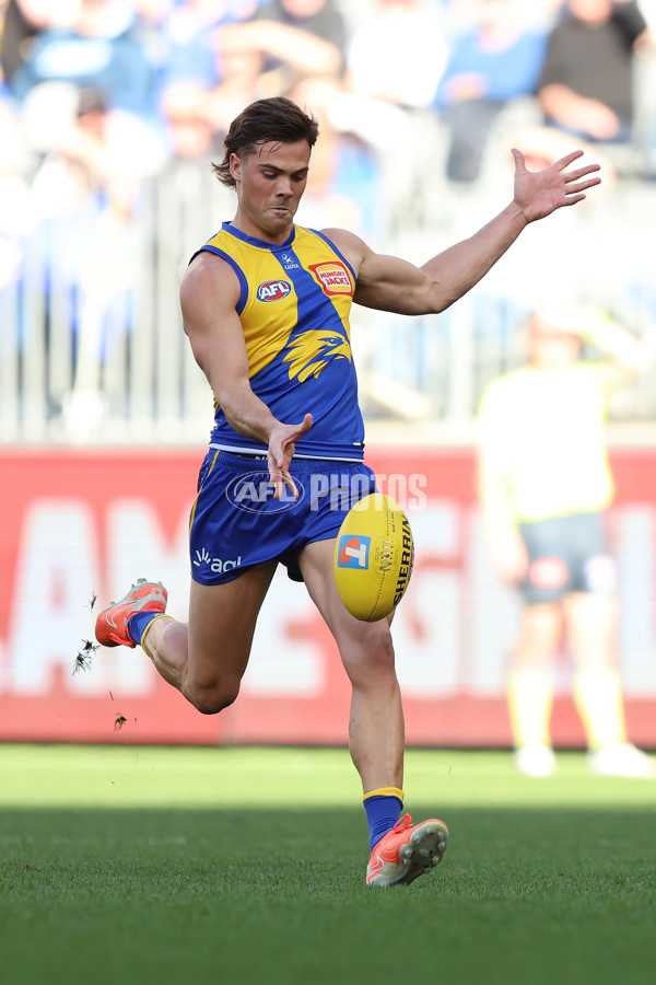 AFL 2025 Round 22 - West Coast v Adelaide - A-61273395