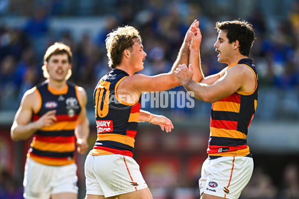 AFL 2025 Round 22 - West Coast v Adelaide - A-61273441