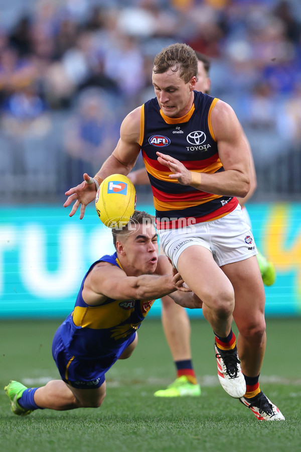 AFL 2025 Round 22 - West Coast v Adelaide - A-61273465