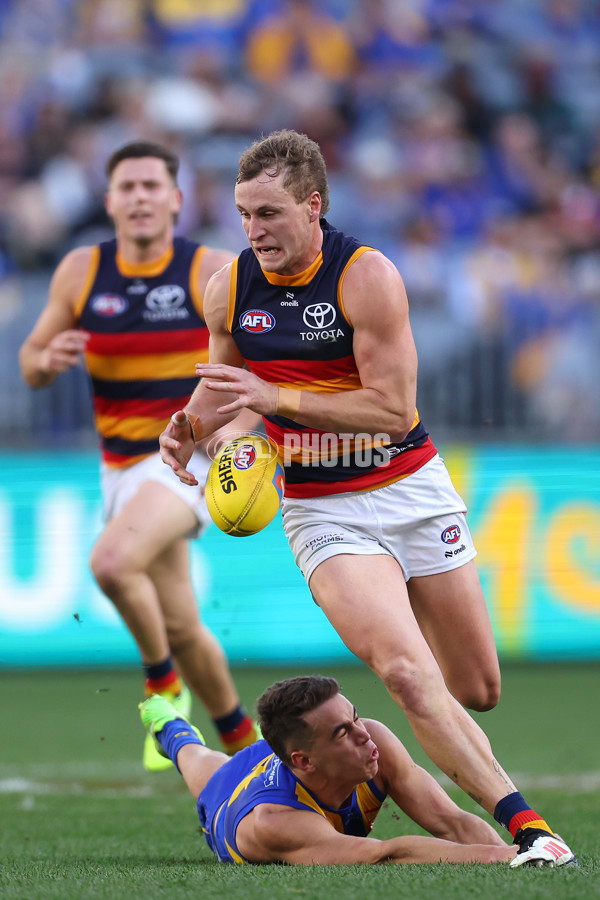 AFL 2025 Round 22 - West Coast v Adelaide - A-61275409