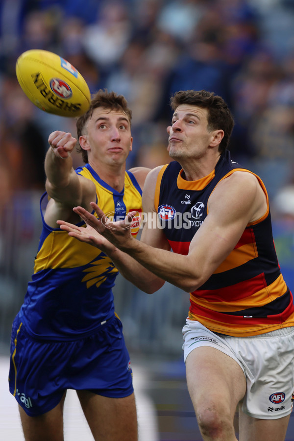 AFL 2025 Round 22 - West Coast v Adelaide - A-61275451