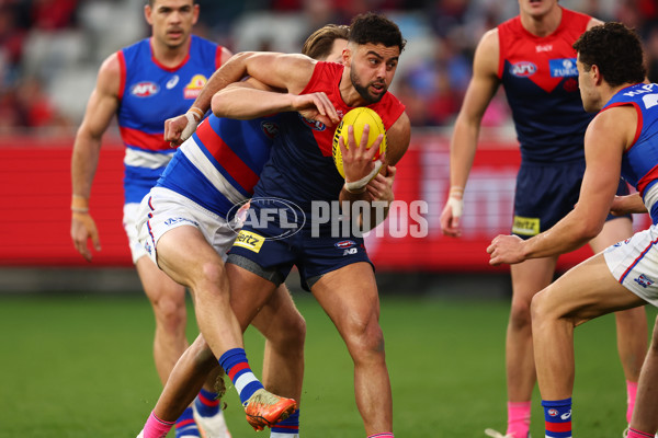 AFL 2025 Round 22 - Melbourne v Western Bulldogs - A-61275453