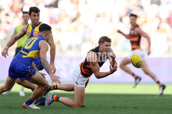 AFL 2025 Round 22 - West Coast v Adelaide - A-61275455