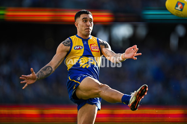 AFL 2025 Round 22 - West Coast v Adelaide - A-61276176