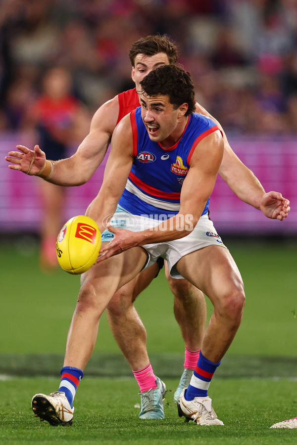 AFL 2025 Round 22 - Melbourne v Western Bulldogs - A-61281060