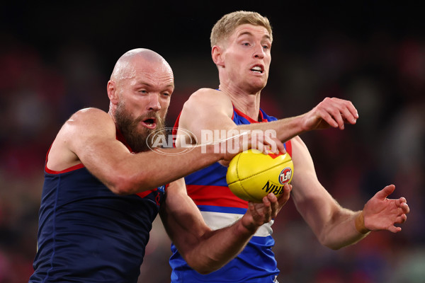 AFL 2025 Round 22 - Melbourne v Western Bulldogs - A-61281070