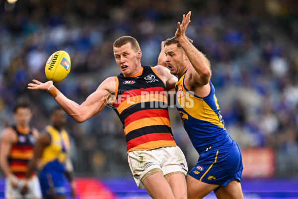 AFL 2025 Round 22 - West Coast v Adelaide - A-61281111
