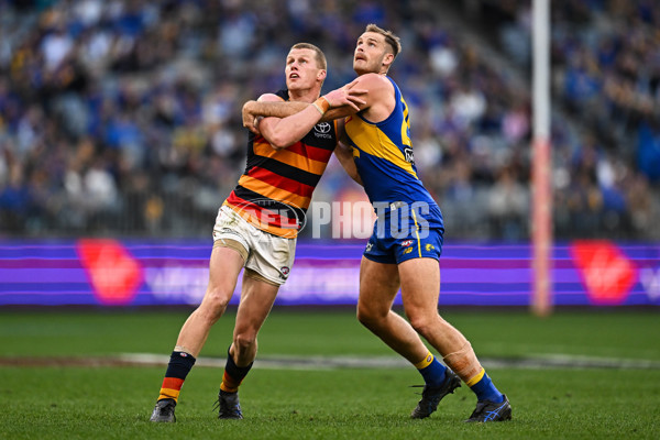 AFL 2025 Round 22 - West Coast v Adelaide - A-61281119