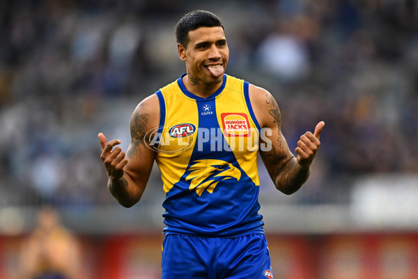 AFL 2025 Round 22 - West Coast v Adelaide - A-61281134