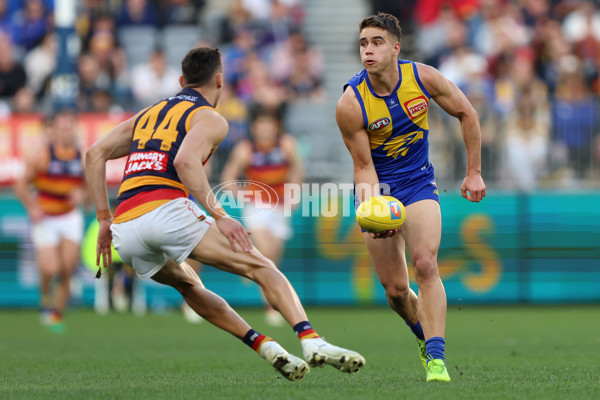 AFL 2025 Round 22 - West Coast v Adelaide - A-61281138