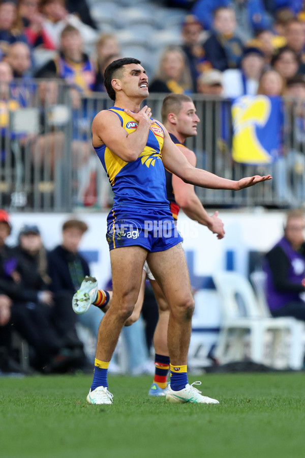 AFL 2025 Round 22 - West Coast v Adelaide - A-61281140