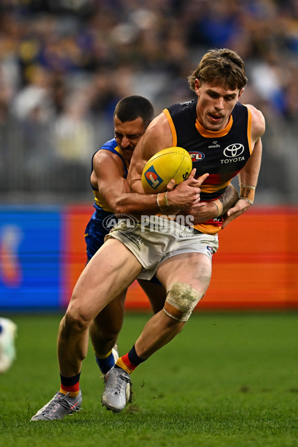 AFL 2025 Round 22 - West Coast v Adelaide - A-61281143