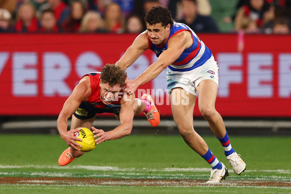 AFL 2025 Round 22 - Melbourne v Western Bulldogs - A-61281357