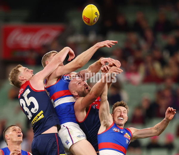 AFL 2025 Round 22 - Melbourne v Western Bulldogs - A-61281375
