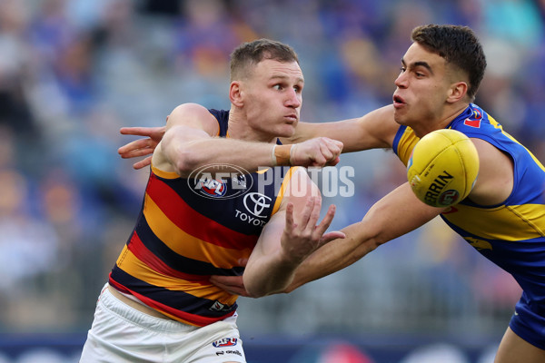 AFL 2025 Round 22 - West Coast v Adelaide - A-61281381