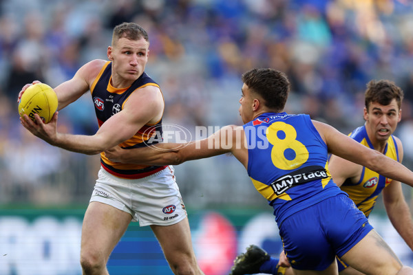 AFL 2025 Round 22 - West Coast v Adelaide - A-61281382