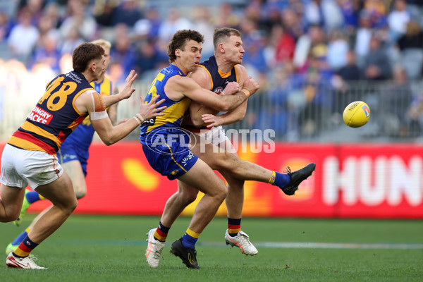 AFL 2025 Round 22 - West Coast v Adelaide - A-61281386