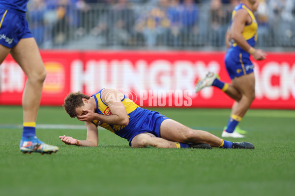 AFL 2025 Round 22 - West Coast v Adelaide - A-61281389