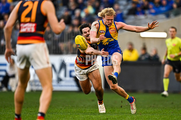 AFL 2025 Round 22 - West Coast v Adelaide - A-61281420