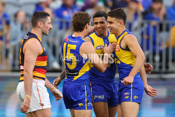 AFL 2025 Round 22 - West Coast v Adelaide - A-61281429