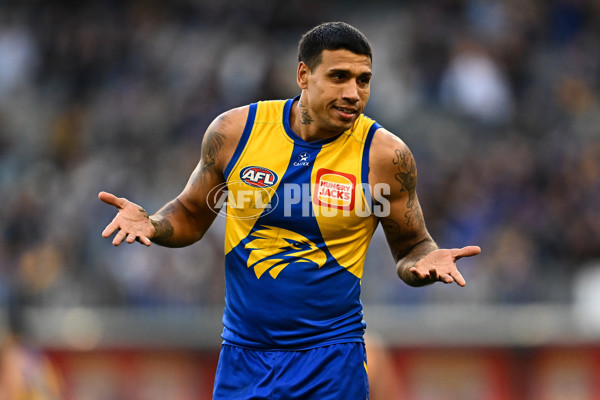 AFL 2025 Round 22 - West Coast v Adelaide - A-61281432