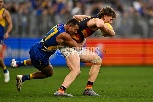 AFL 2025 Round 22 - West Coast v Adelaide - A-61281446
