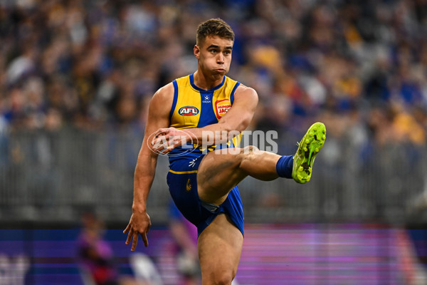 AFL 2025 Round 22 - West Coast v Adelaide - A-61283872