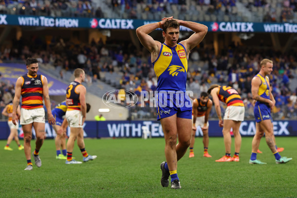AFL 2025 Round 22 - West Coast v Adelaide - A-61283903