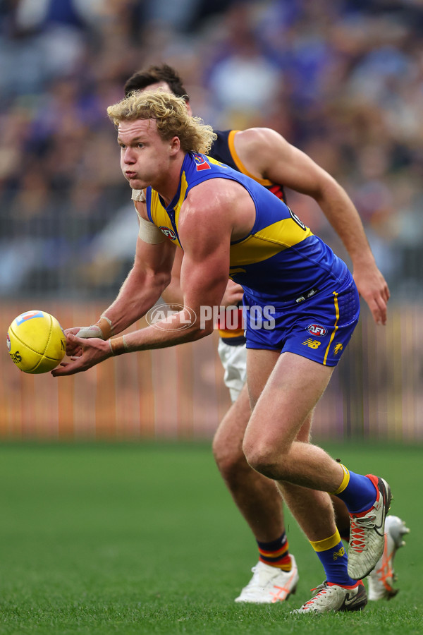 AFL 2025 Round 22 - West Coast v Adelaide - A-61283921