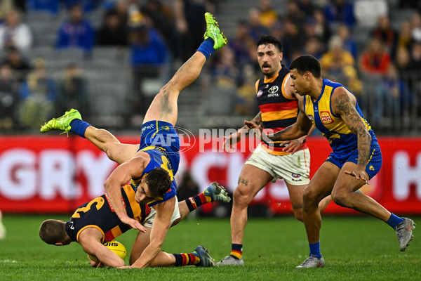 AFL 2025 Round 22 - West Coast v Adelaide - A-61283922