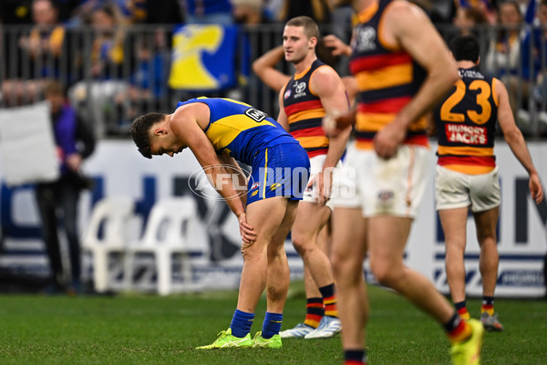 AFL 2025 Round 22 - West Coast v Adelaide - A-61283925