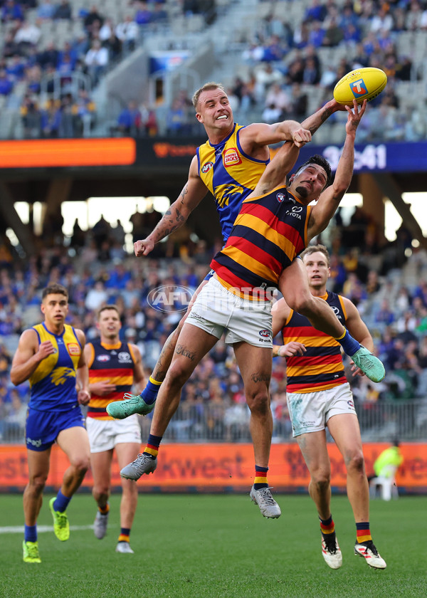 AFL 2025 Round 22 - West Coast v Adelaide - A-61283941