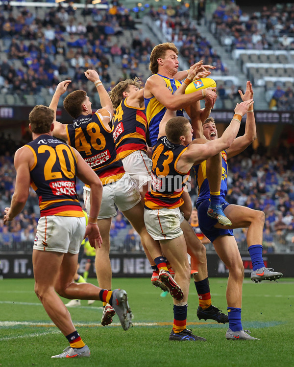 AFL 2025 Round 22 - West Coast v Adelaide - A-61283950